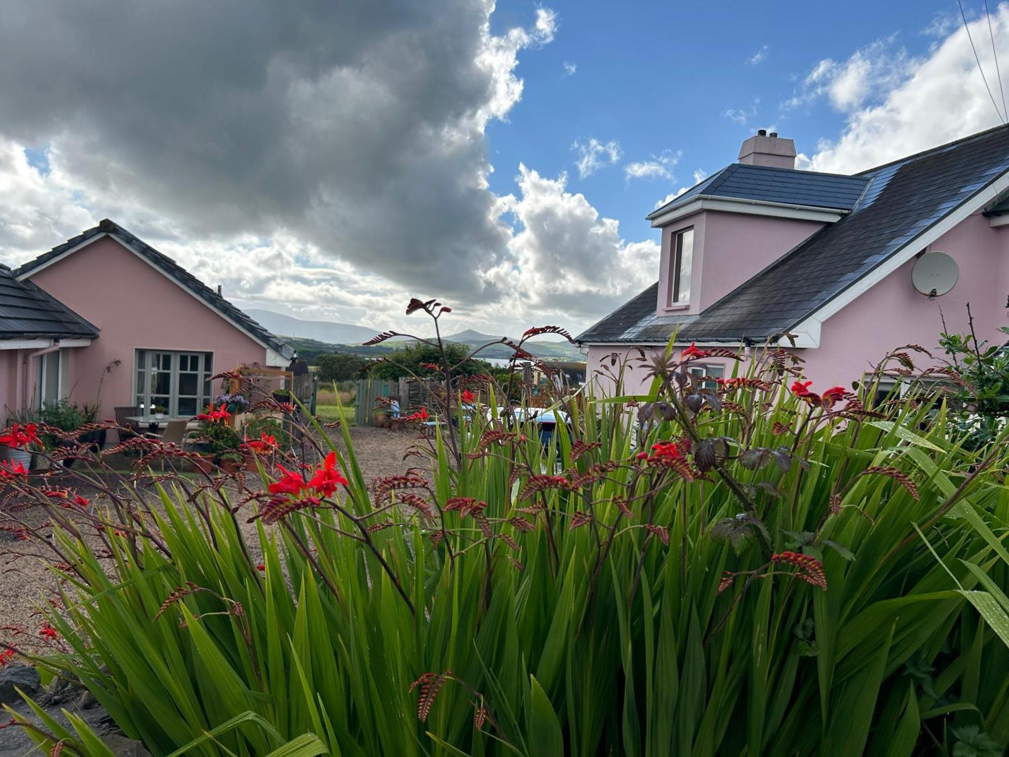 Tig Monbretia Apartment Dingle Bagian luar foto