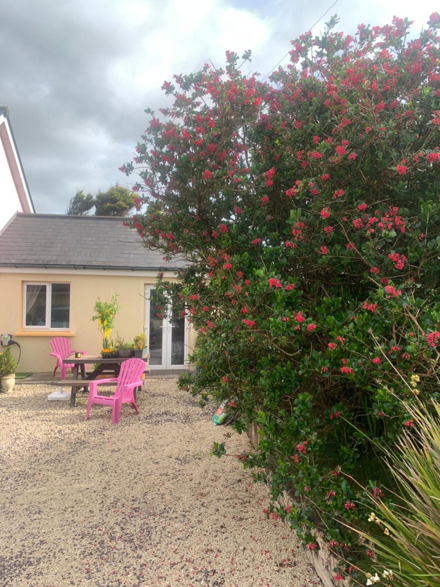 Tig Monbretia Apartment Dingle Bagian luar foto